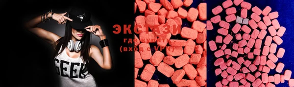 2c-b Бородино