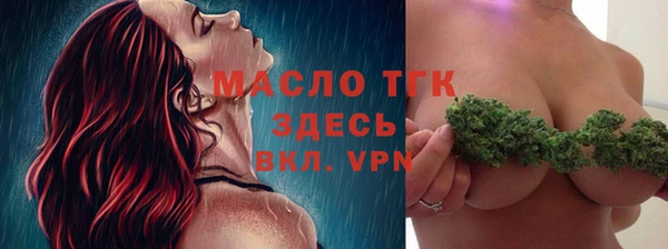 индика Богданович