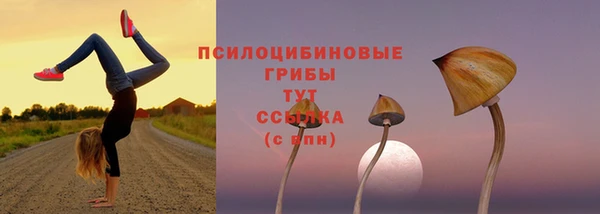 2c-b Бородино