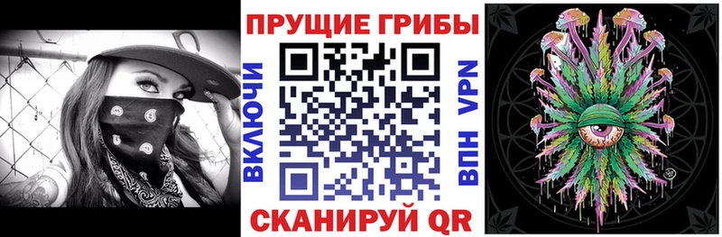 hydra вход  Гусь-Хрустальный  Псилоцибиновые грибы мицелий 